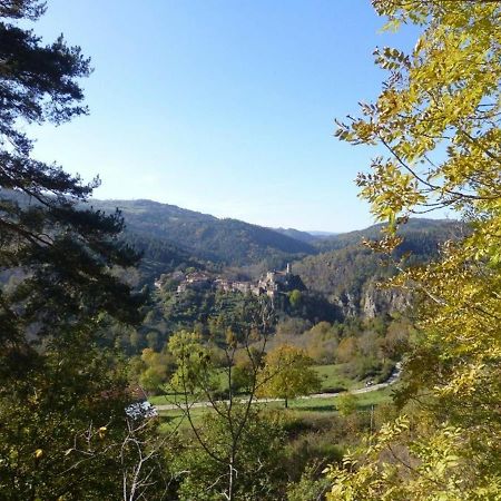 Gite En Pierre Avec Terrasses, Proche De Sites Medievaux, Ideal Pour Famille Avec Equipements Bebe. - Fr-1-582-256 Boisset  외부 사진