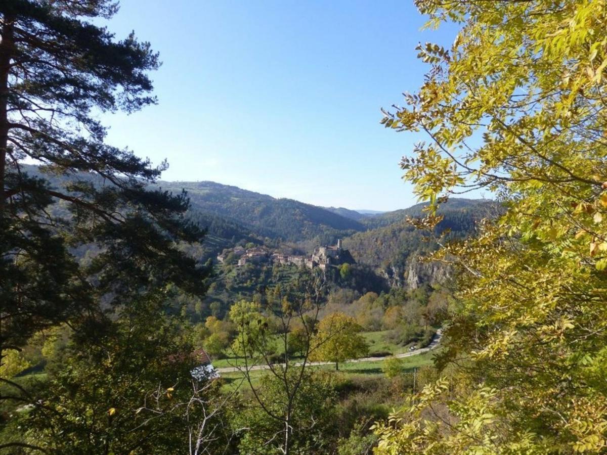 Gite En Pierre Avec Terrasses, Proche De Sites Medievaux, Ideal Pour Famille Avec Equipements Bebe. - Fr-1-582-256 Boisset  외부 사진